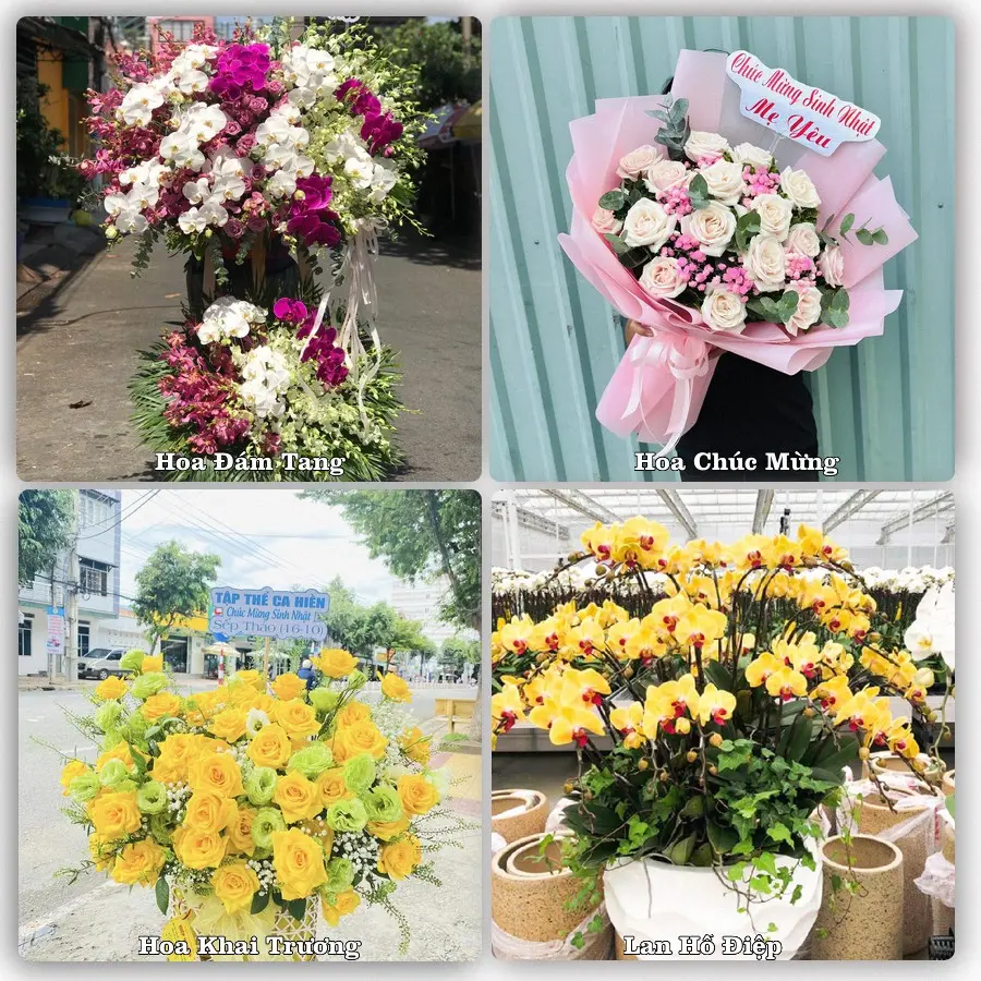 Tư vấn chọn hoa theo từng dịp tại Nếnh, Việt Yên