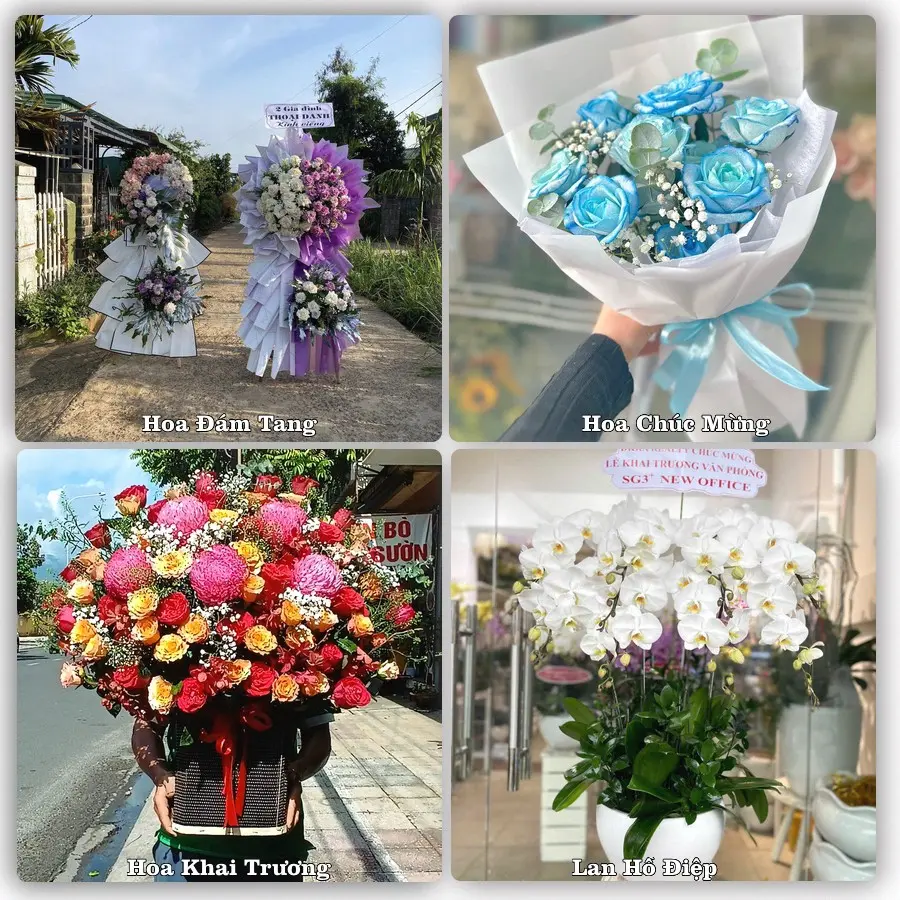 Tư vấn chọn hoa theo từng dịp tại Nga Sơn