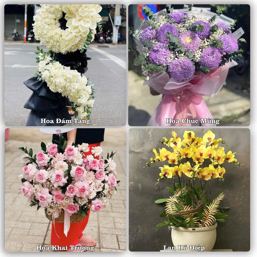 Mẫu hoa tươi dành cho khách đặt hoa tại Nghĩa Đàn