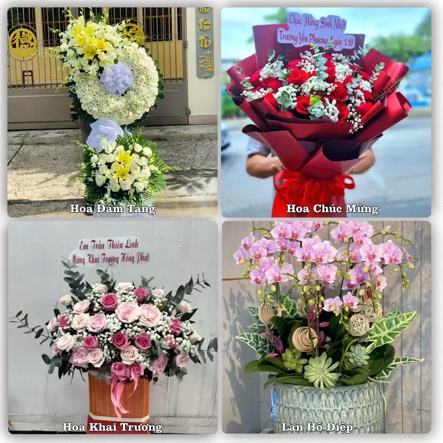 Shop hoa tươi Ngô Đồng, Giao Thủy – Tư vấn chọn mẫu theo dịp