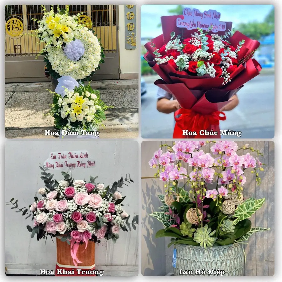 Mẫu hoa tươi dành cho khách đặt hoa tại Ngô Đồng, Giao Thủy