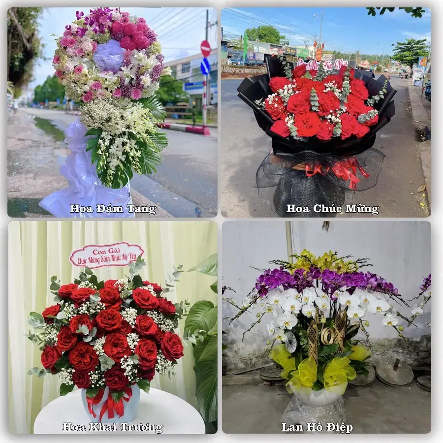 Shop hoa tươi Ngô Mây, Phù Cát – Đặt online, giao tận nơi