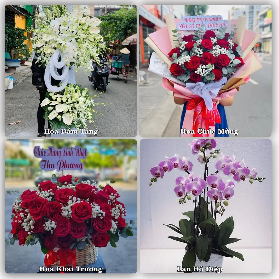 Tư vấn chọn hoa theo từng dịp tại Ngô Mây, Phù Cát