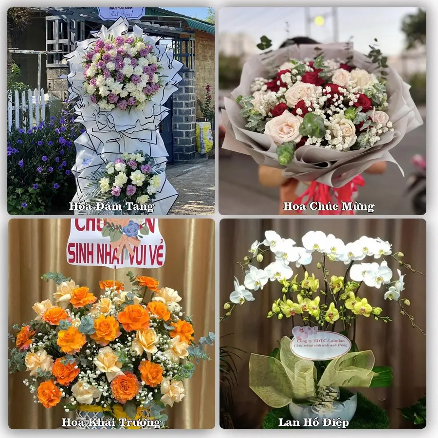 Mẫu hoa tươi dành cho khách đặt hoa tại Nho Quan
