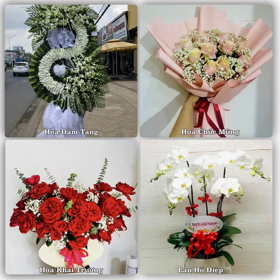 Tư vấn chọn hoa theo từng dịp tại Nho Quan