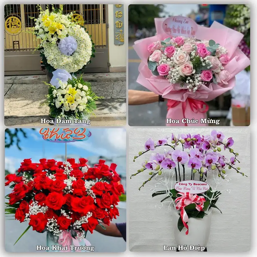 Shop hoa tươi Ninh Cường, Trực Ninh – Đặt online, giao tận nơi