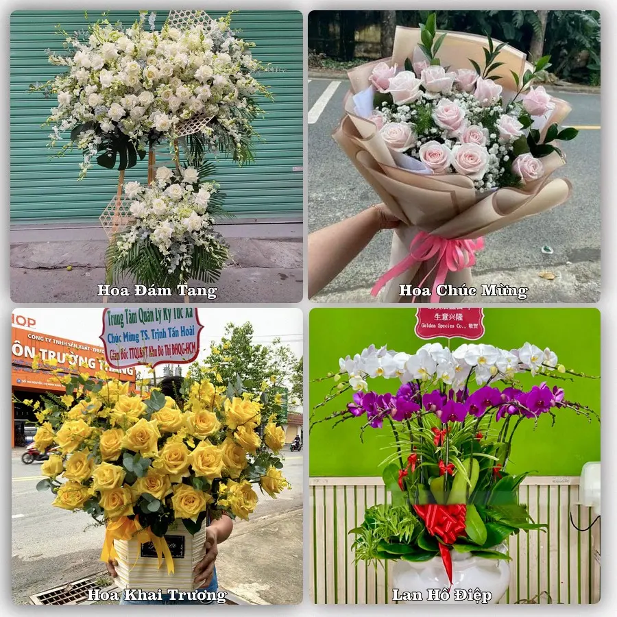 Tư vấn chọn hoa theo từng dịp tại Nông Cống