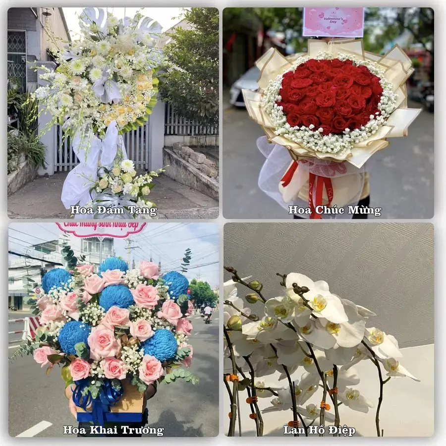 Shop hoa tươi NT Mộc Châu, Mộc Châu – Đặt online, giao tận nơi