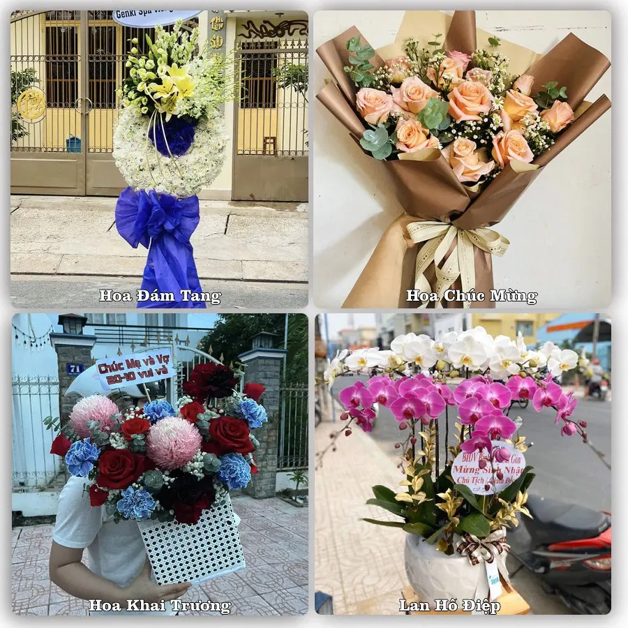 Tư vấn chọn hoa theo từng dịp tại NT Mộc Châu, Mộc Châu