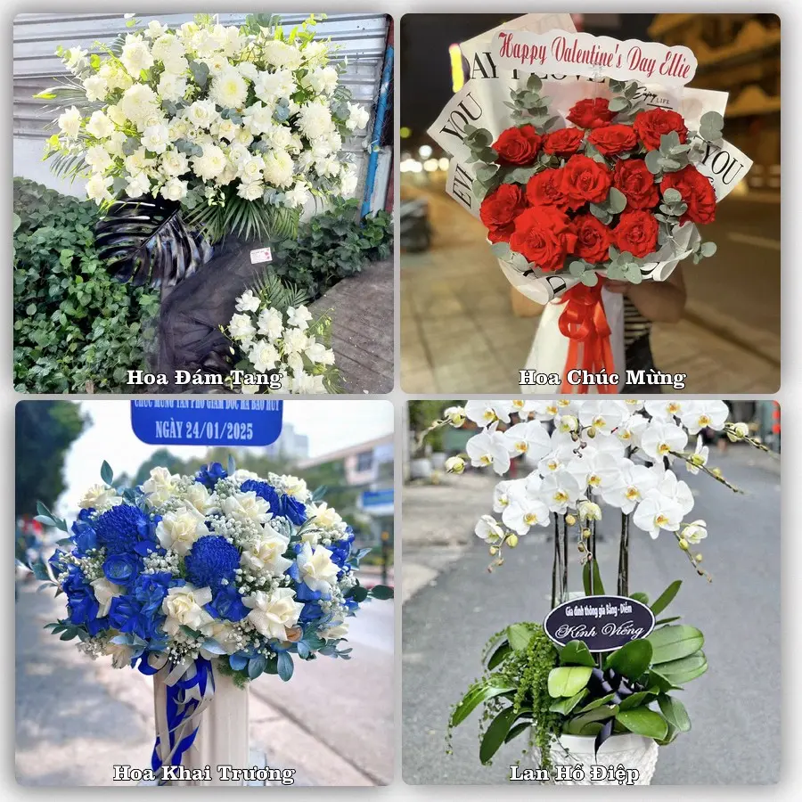 Mẫu hoa tươi dành cho khách đặt hoa tại NT Thái Bình, Đình Lập