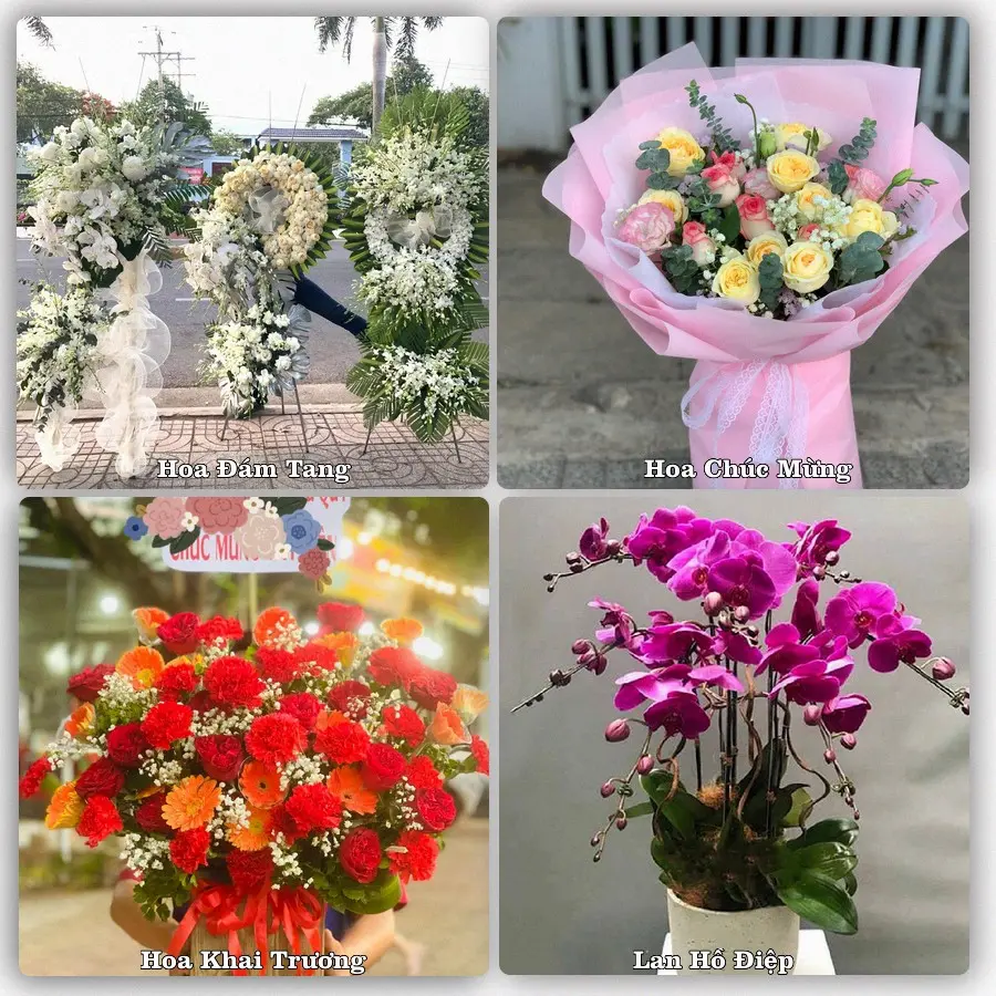 Tư vấn chọn hoa theo từng dịp tại NT Việt Trung, Bố Trạch
