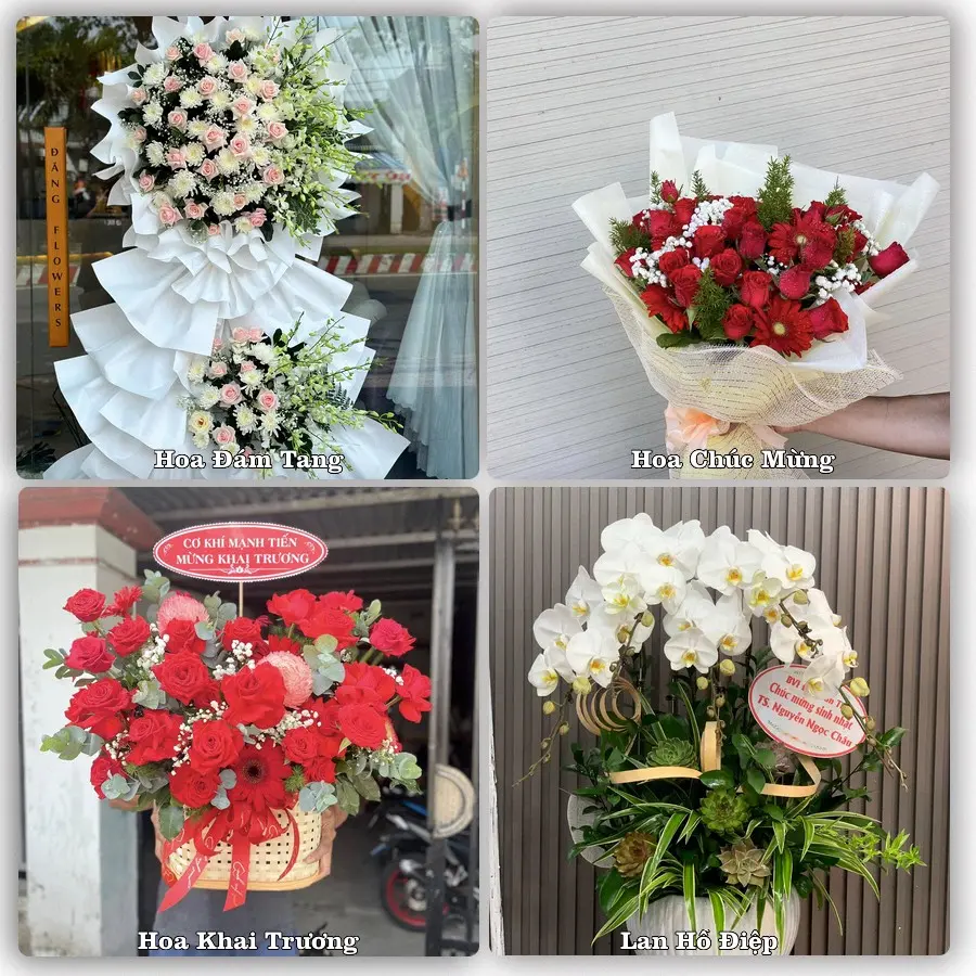 Mẫu hoa tươi dành cho khách đặt hoa tại Núi Đèo, Thuỷ Nguyên