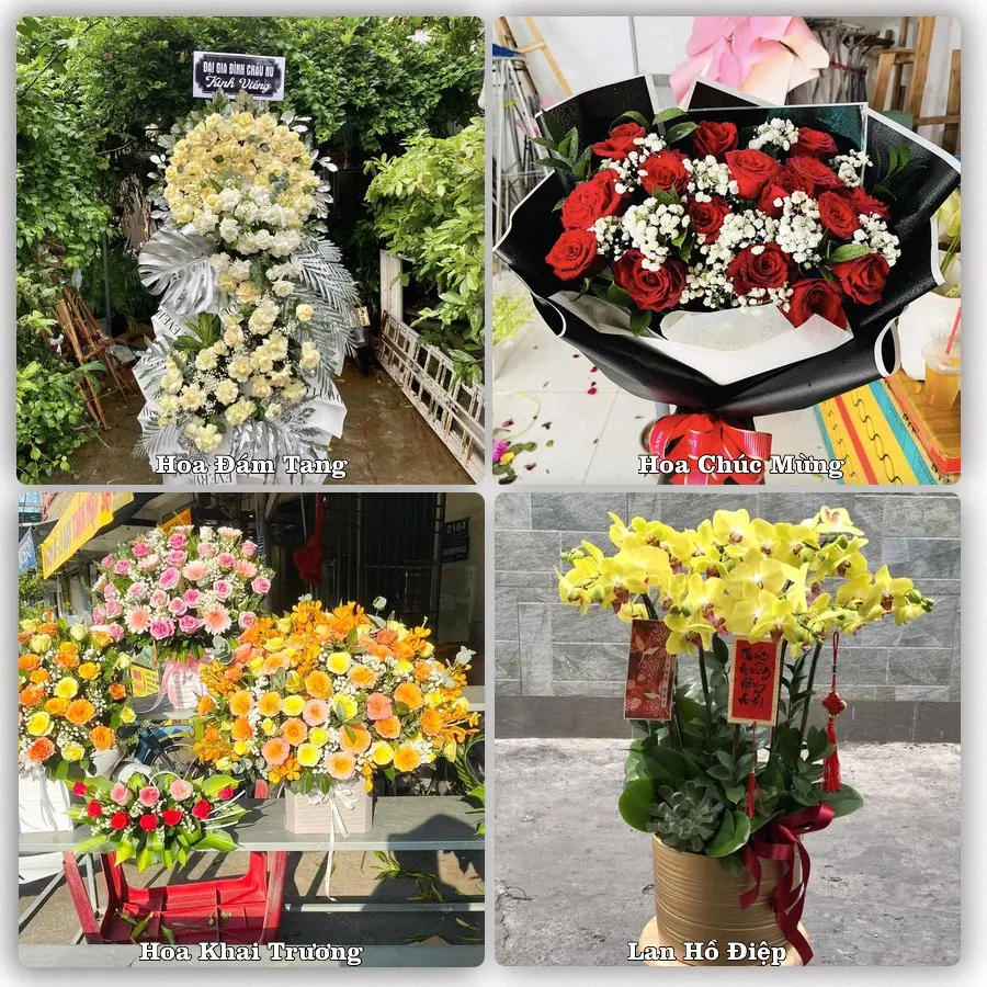 Tư vấn chọn hoa theo từng dịp tại Núi Đèo, Thuỷ Nguyên