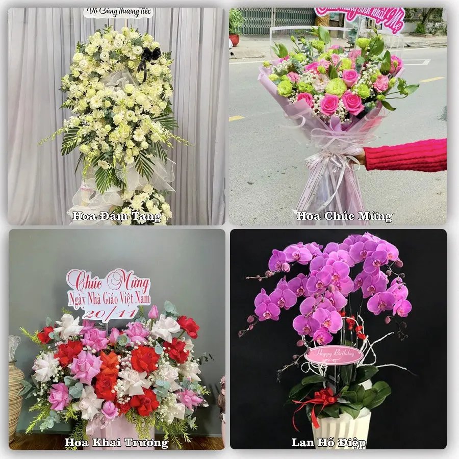 Tư vấn chọn hoa theo từng dịp tại Núi Thành