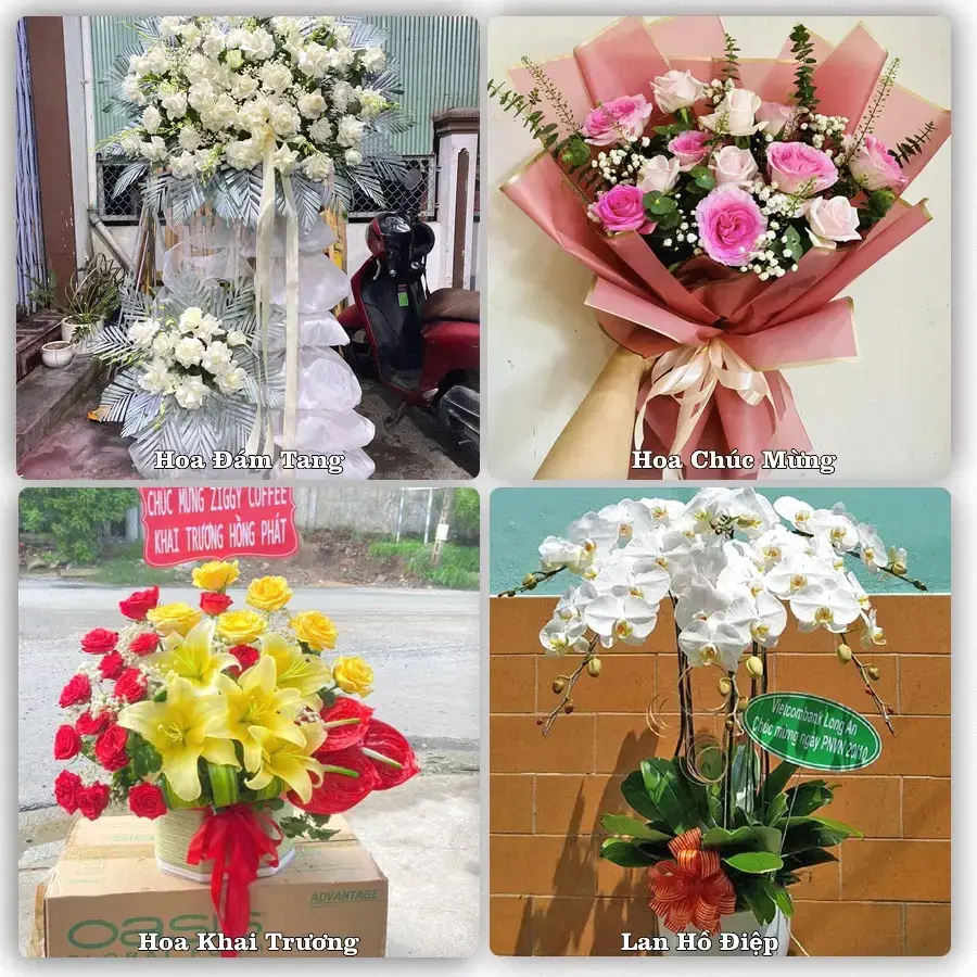 Tư vấn chọn hoa theo từng dịp tại Nước Hai, Hoà An