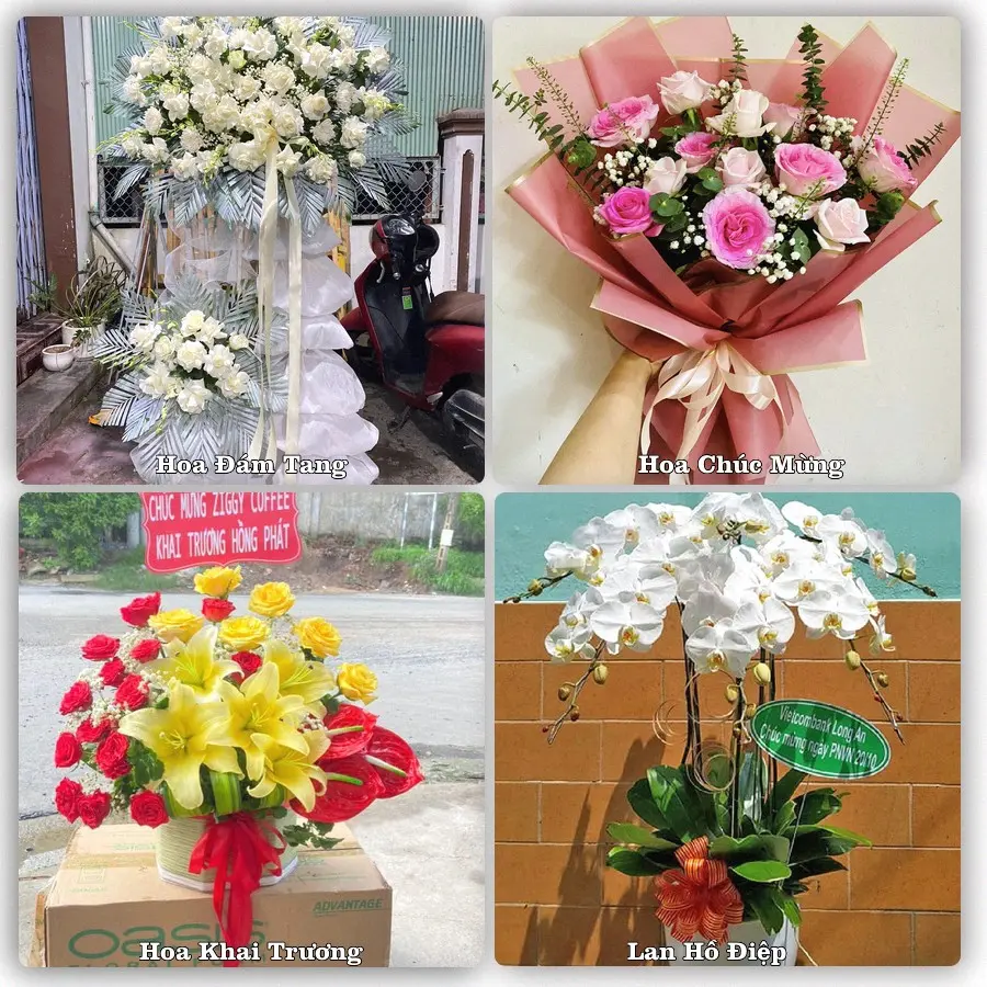 Tư vấn chọn hoa theo từng dịp tại Nước Hai, Hoà An