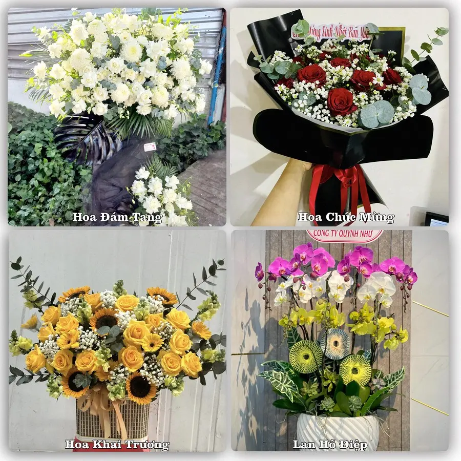 Mẫu hoa tươi dành cho khách đặt hoa tại P Rao, Đông Giang
