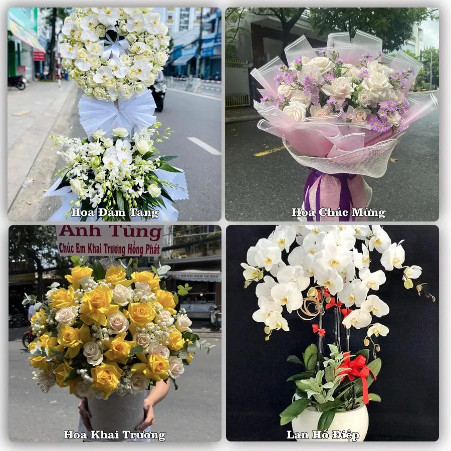 Tư vấn chọn hoa theo từng dịp tại P Rao, Đông Giang