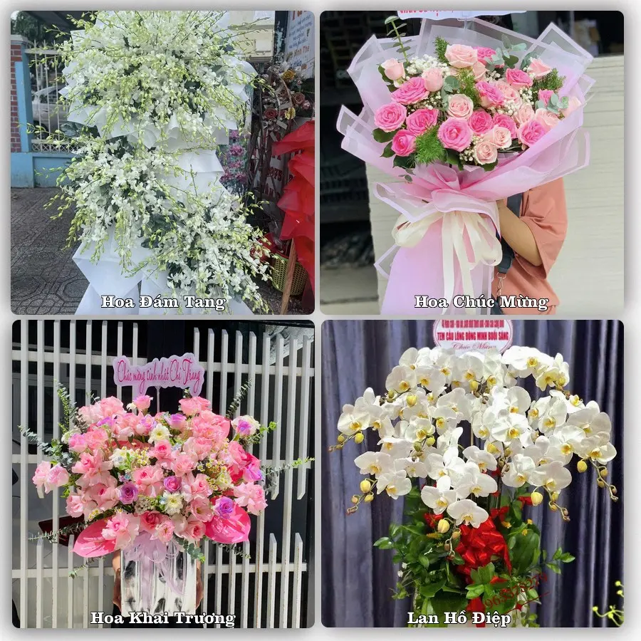 Tư vấn chọn hoa theo từng dịp tại Phan Rí Cửa, Tuy Phong