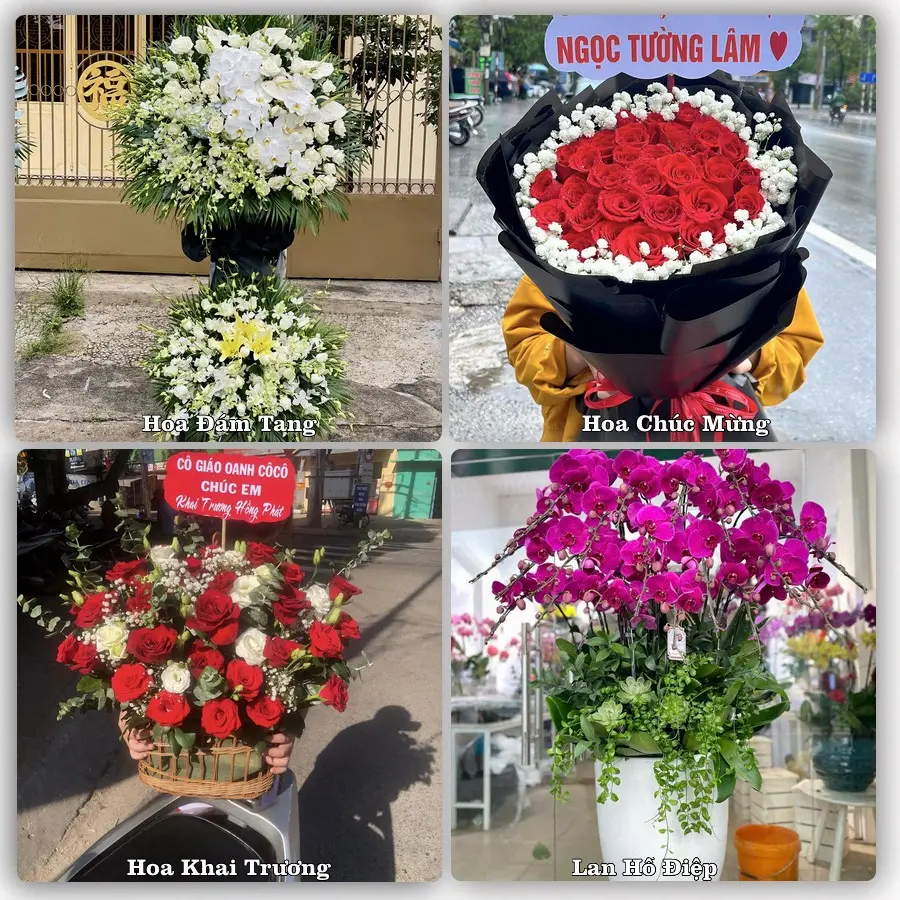 Tư vấn chọn hoa theo từng dịp tại Phó Bảng, Đồng Văn