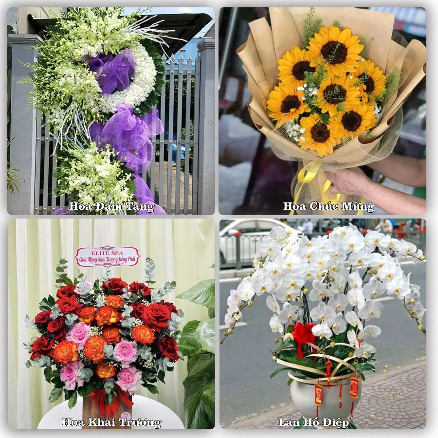 Mẫu hoa tươi dành cho khách đặt hoa tại Phố Châu, Hương Sơn