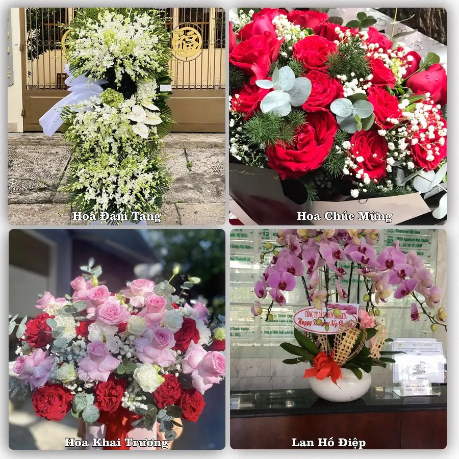 Mẫu hoa tươi dành cho khách đặt hoa tại Phố Mới, Quế Võ
