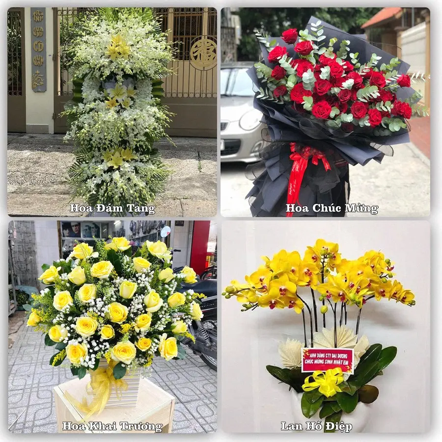 Tư vấn chọn hoa theo từng dịp tại Phố Ràng, Bảo Yên