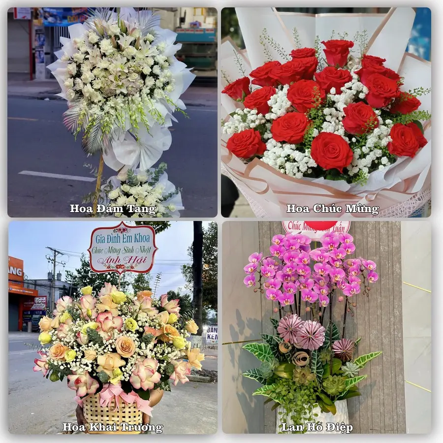 Tư vấn chọn hoa theo từng dịp tại Phong Châu, Phù Ninh