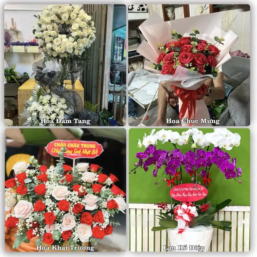 Shop hoa tươi Phong Nha, Bố Trạch – Nhận giao hoa trong ngày