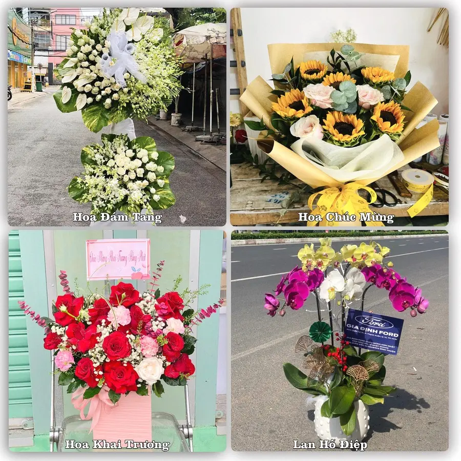 Tư vấn chọn hoa theo từng dịp tại Phong Nha, Bố Trạch