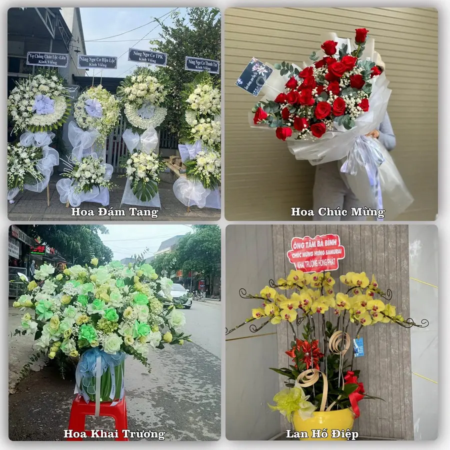 Mẫu hoa tươi dành cho khách đặt hoa tại Phong Sơn, Cẩm Thủy