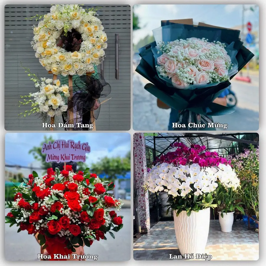 Tư vấn chọn hoa theo từng dịp tại Phong Sơn, Cẩm Thủy