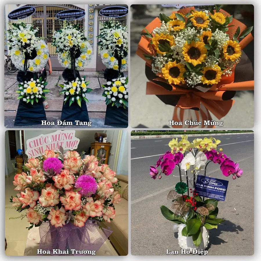 Mẫu hoa tươi dành cho khách đặt hoa tại Phong Thổ