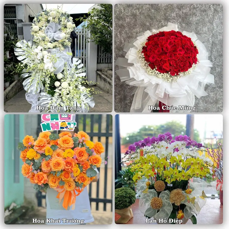 Tư vấn chọn hoa theo từng dịp tại Phú Đa, Phú Vang