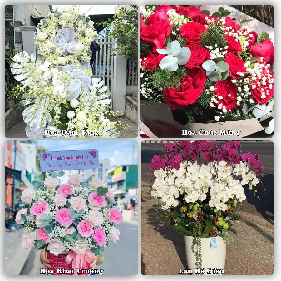 Shop hoa tươi Phú Hoà – Đặt online, giao tận nơi