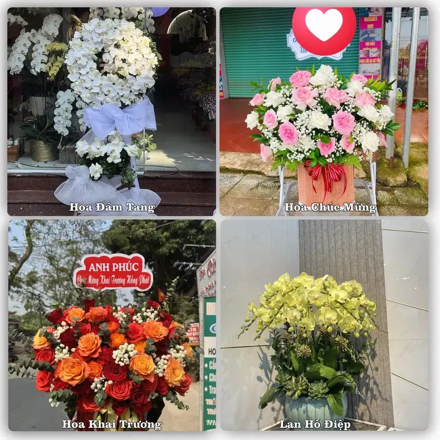 Shop hoa tươi Phú Hòa, Chư Păh – Giao tận nơi trong 2 giờ