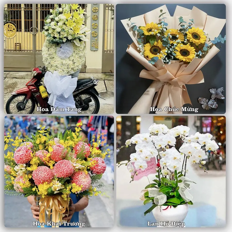 Tư vấn chọn hoa theo từng dịp tại Phú Hòa, Chư Păh