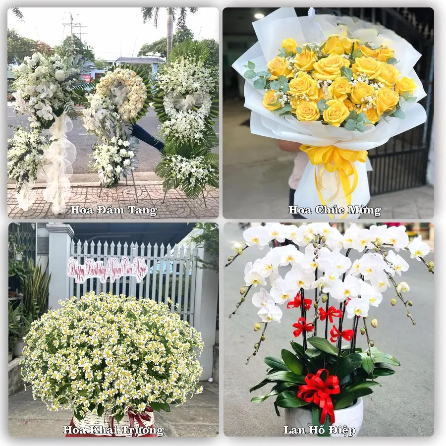 Dịch vụ đặt hoa online giao tận nơi tại Phú Hòa, Chư Păh