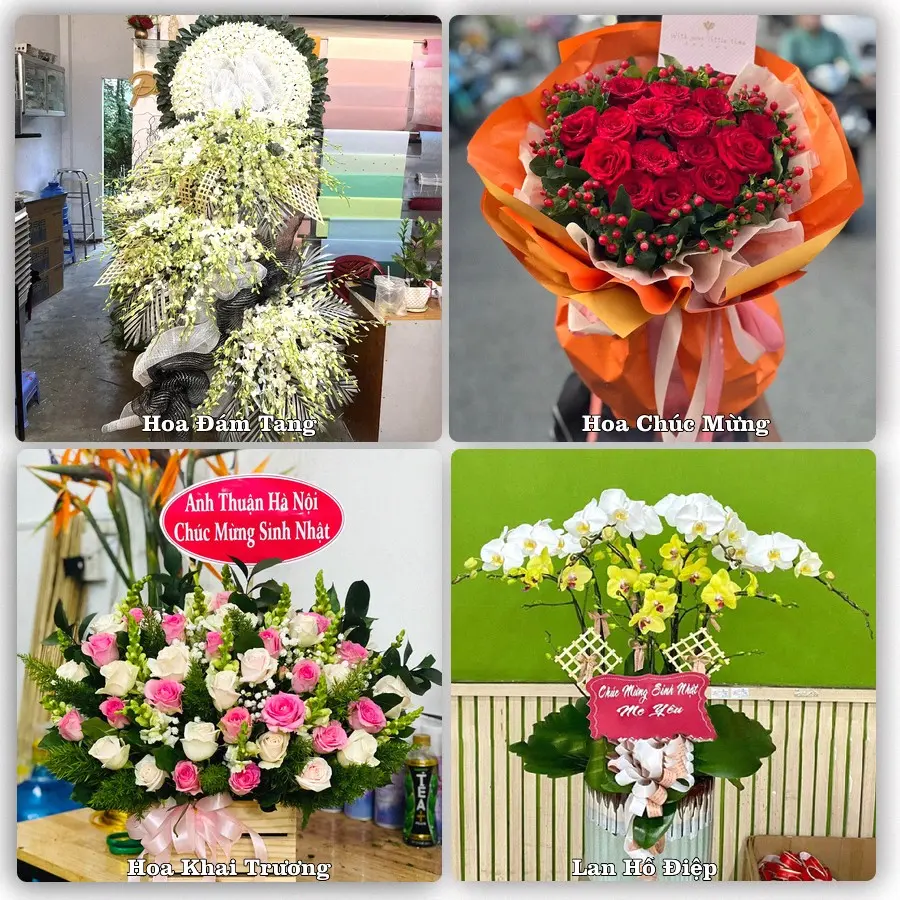 Mẫu hoa tươi dành cho khách đặt hoa tại Phú Lộc