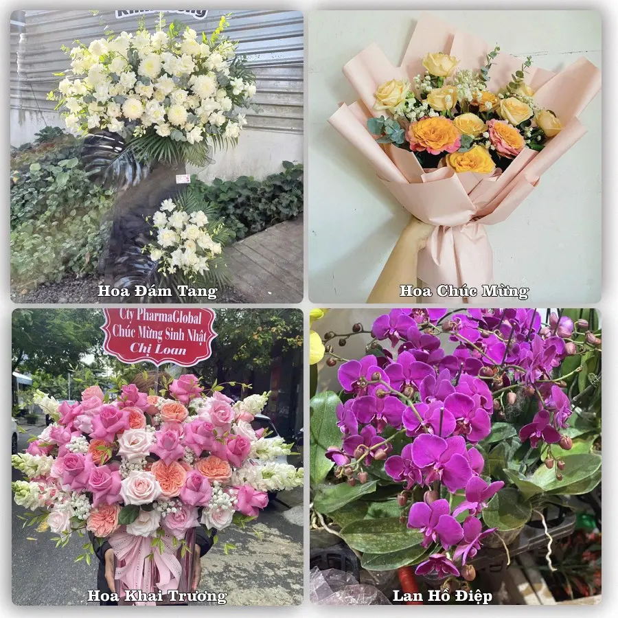 Tư vấn chọn hoa theo từng dịp tại Phú Lộc