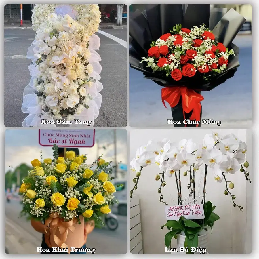 Shop hoa tươi Phú Long, Hàm Thuận Bắc – Đặt online, giao tận nơi