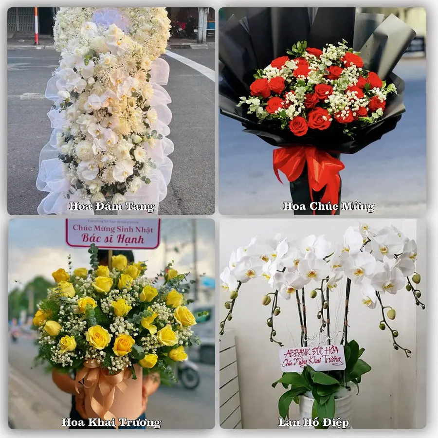 Mẫu hoa tươi dành cho khách đặt hoa tại Phú Long, Hàm Thuận Bắc