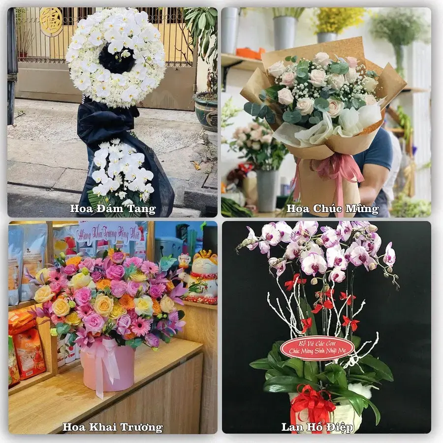 Tư vấn chọn hoa theo từng dịp tại Phú Long, Hàm Thuận Bắc