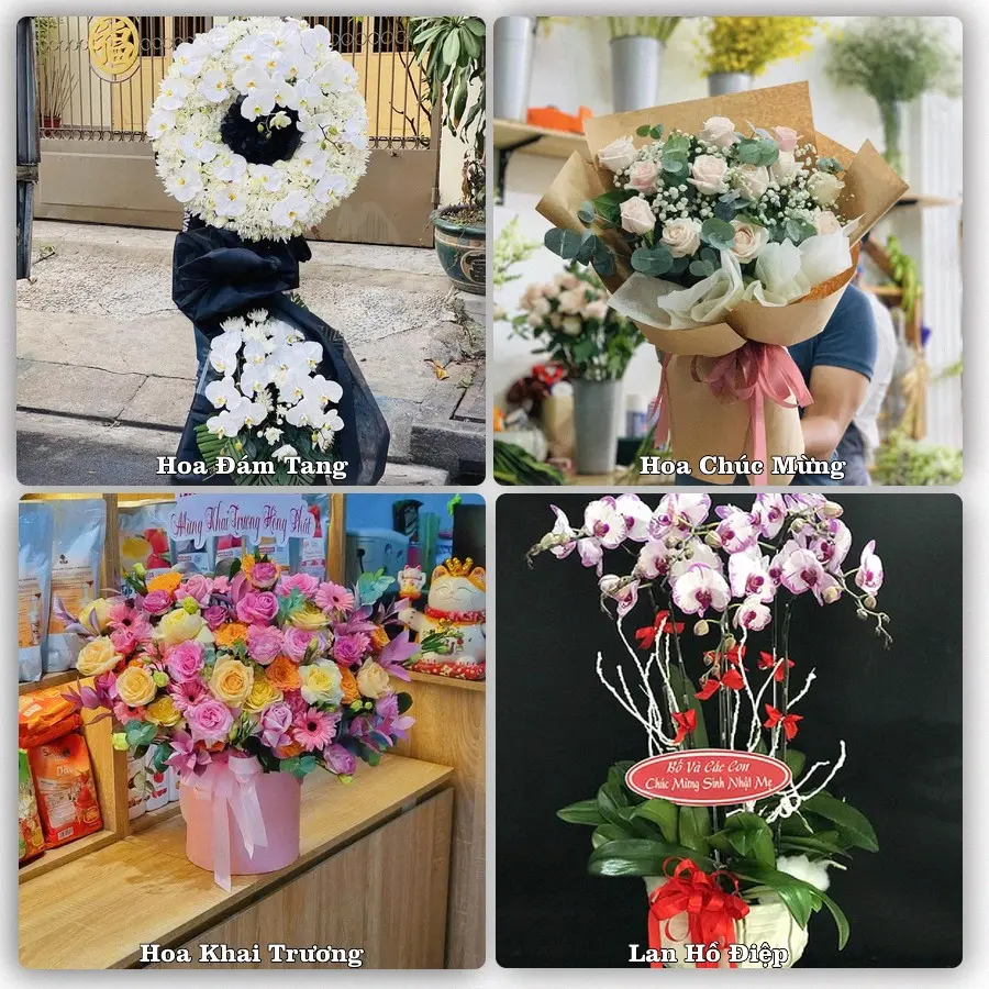 Tư vấn chọn hoa theo từng dịp tại Phú Long, Hàm Thuận Bắc