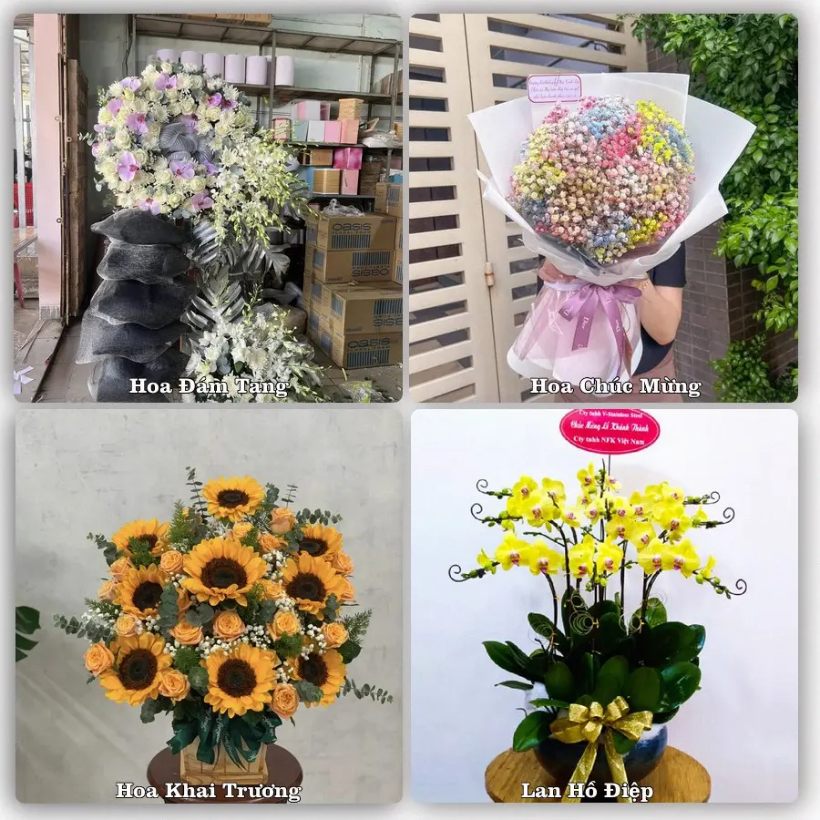 Mẫu hoa tươi dành cho khách đặt hoa tại Phù Mỹ