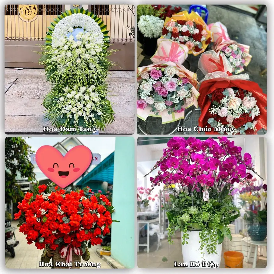 Tư vấn chọn hoa theo từng dịp tại Phú Thái, Kim Thành