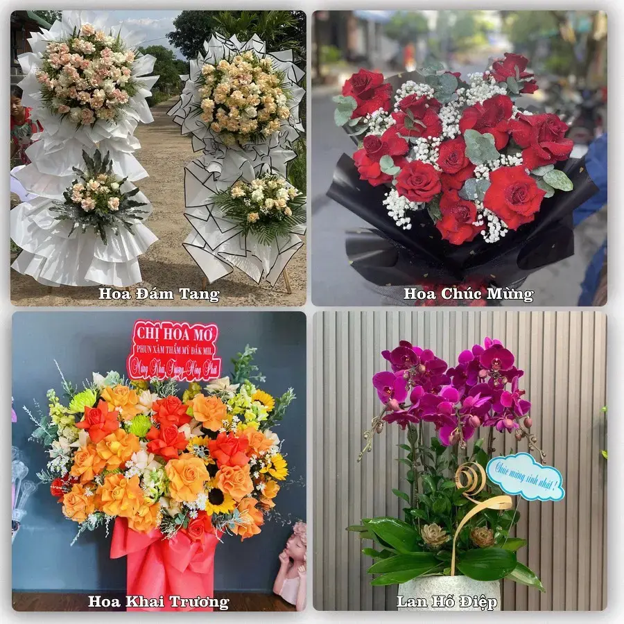 Shop hoa tươi Phú Thịnh, Phú Ninh – Giao tận nơi trong 2 giờ