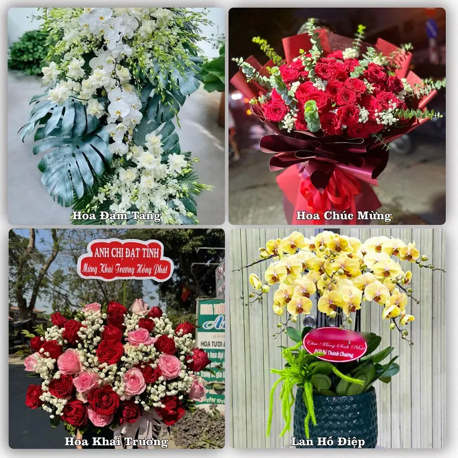 Tư vấn chọn hoa theo từng dịp tại Phú Thịnh, Phú Ninh