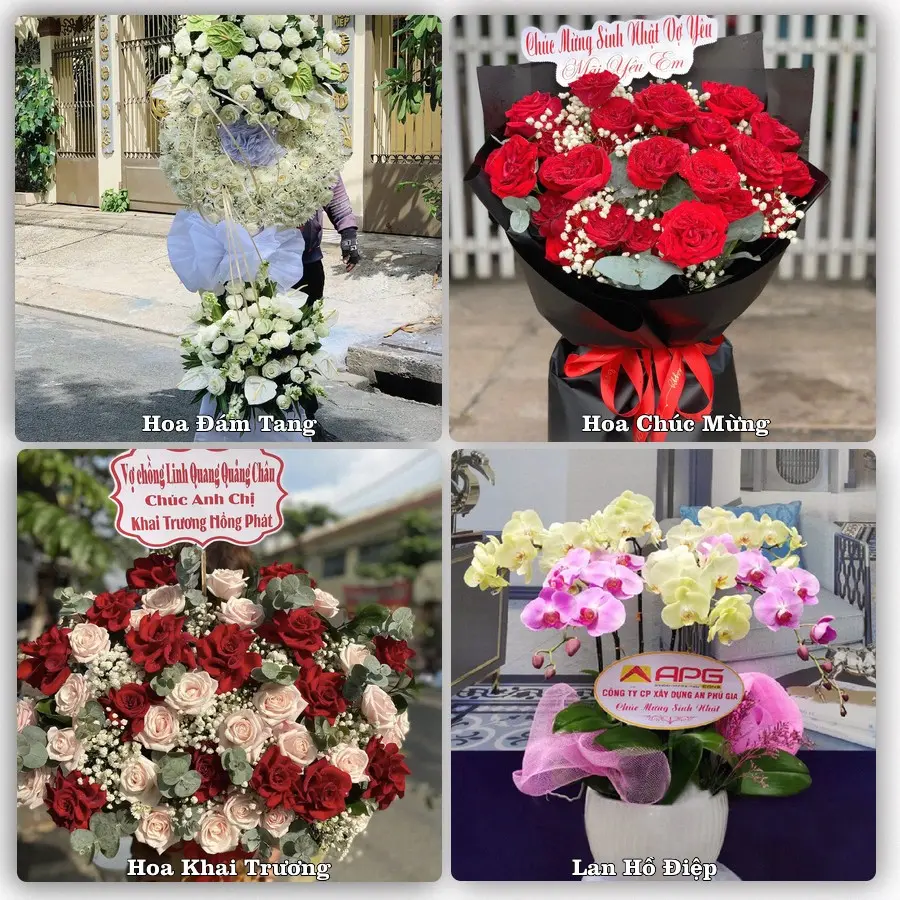Mẫu hoa tươi dành cho khách đặt hoa tại Phủ Thông, Bạch Thông