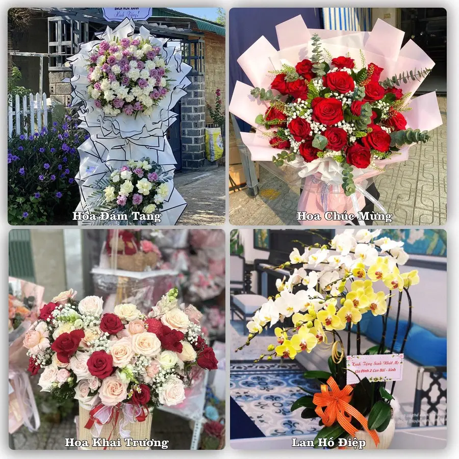 Mẫu hoa tươi dành cho khách đặt hoa tại Phú Thứ, Tây Hoà